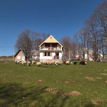 Vila Kolibri Žabljak Exteriér fotografie