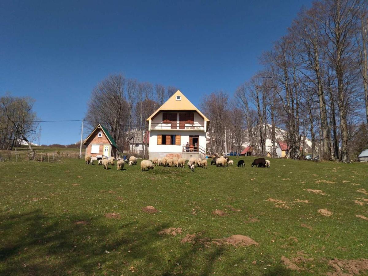 Vila Kolibri Žabljak Exteriér fotografie